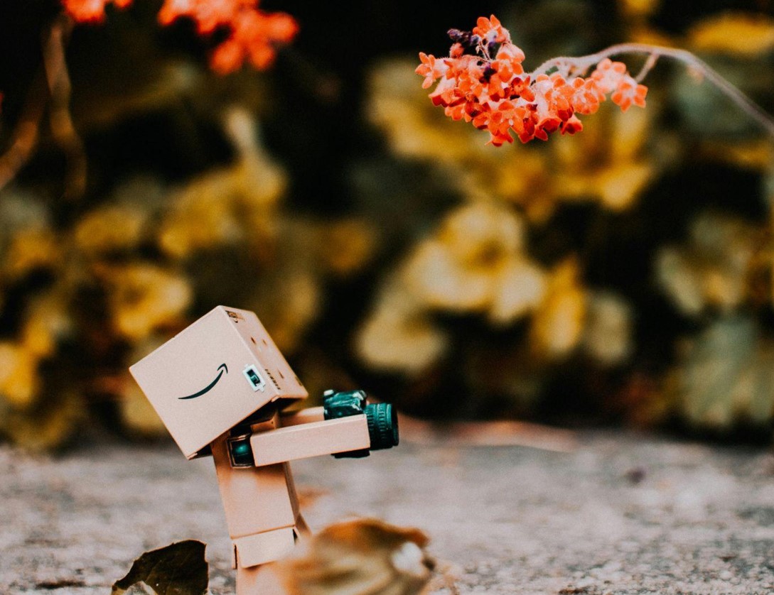 Transform Your Space with an Artificial Plant